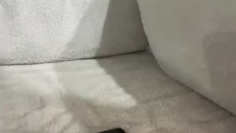 tbaexox online show from November 16, 6:19 am