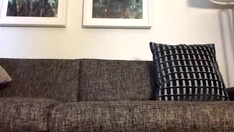 Snapshot of tbiz82 chatting on March 21, 4:17 am Tbiz82 online show from March 21, 4:17 am