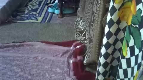 teabody1 online show from March 8, 8:12 pm