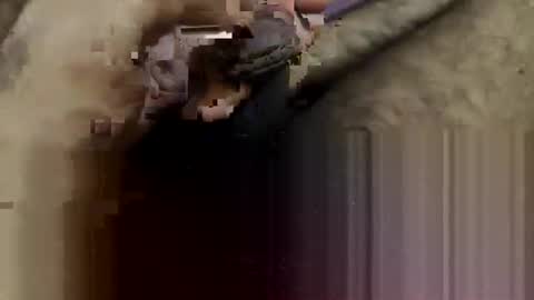 Snapshot of telugu_dick_hyd chatting on February 15, 10:58 am telugu_dick_hyd online show from February 15, 10:58 am