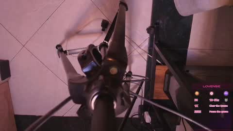 Terra Elowen online show from November 4, 11:20 am