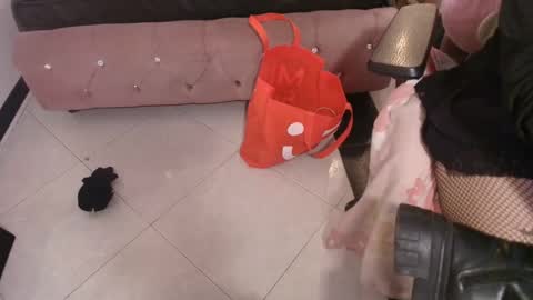 Terra Elowen online show from December 21, 11:28 am