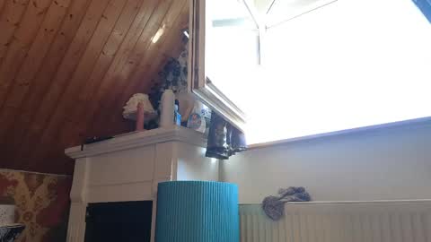 Snapshot of tessawinter chatting on April 26, 2:04 pm Tessa online show from April 26, 2:04 pm