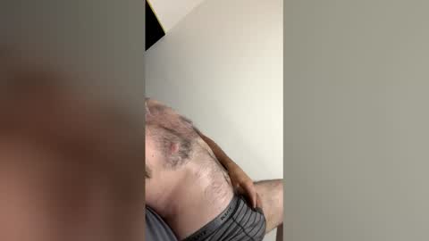 the_bear_br online show from April 3, 12:47 pm