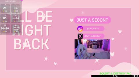 Snapshot of the_cat_girl_ chatting on January 13, 9:52 pm i am Cat online show from January 13, 9:52 pm