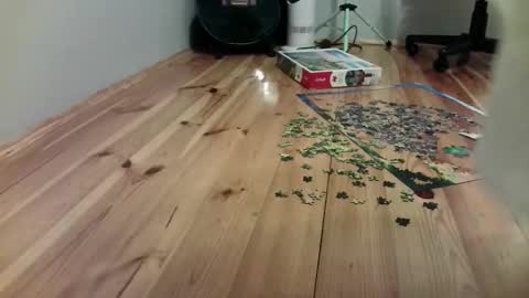 Snapshot of the_naked_pianists chatting on September 19, 9:26 pm Stephan 34 Cassandra 25 online show from September 19, 9:26 pm