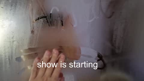 Snapshot of the_pussy_boulevard chatting on December 20, 1:23 am Anna online show from December 20, 1:23 am