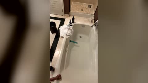 thedirtierthebetter8 online show from March 19, 10:41 am