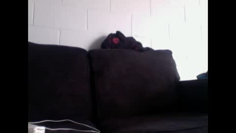 thee304slayer online show from December 16, 11:10 pm