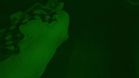 Snapshot of thehungmantis chatting on December 26, 4:32 am thehungmantis online show from December 26, 4:32 am