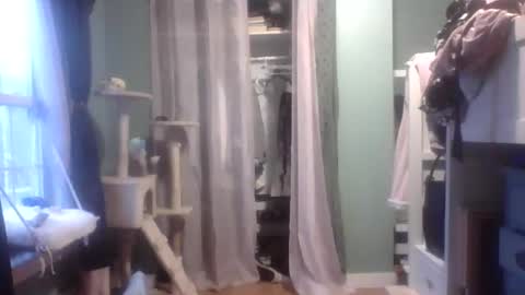 Little Bambii online show from January 27, 9:55 pm