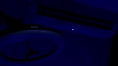 Theo Sky online show from November 4, 2:27 pm