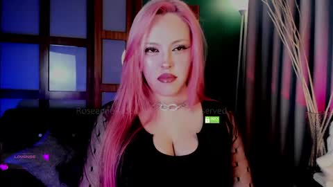 Snapshot of theprincess_rosee chatting on May 4, 3:24 am Rosie online show from May 4, 3:24 am
