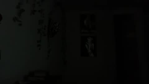 Snapshot of therealferrarii chatting on May 1, 4:06 am therealferrarii online show from May 1, 4:06 am