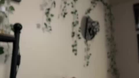 Snapshot of therealferrarii chatting on May 10, 5:01 am therealferrarii online show from May 10, 5:01 am