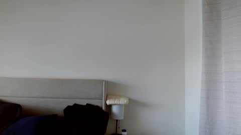 Snapshot of therealkingyoshi chatting on November 25, 6:08 pm Yoshi online show from November 25, 6:08 pm