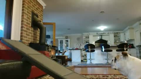 Snapshot of therealkurva4u chatting on September 25, 8:07 am therealkurva4u online show from September 25, 8:07 am