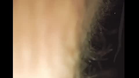 TheSexorcis online show from February 25, 12:58 am