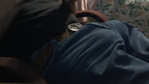 thetnguy online show from October 6, 12:24 pm