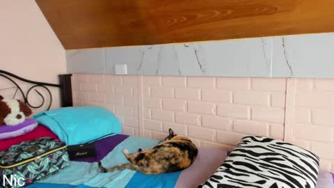 Snapshot of thetropicalseduction chatting on March 25, 2:45 pm Nicole online show from March 25, 2:45 pm