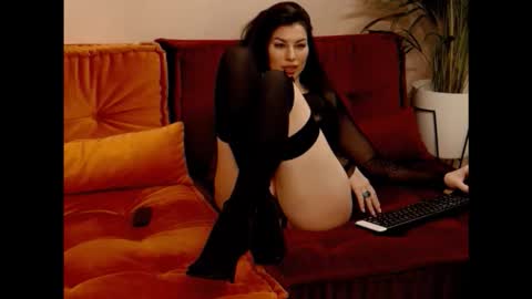 Snapshot of thevelvetcatwalk chatting on February 4, 4:18 am Hi Im Belle Welcome to my room online show from February 4, 4:18 am