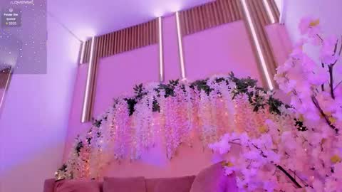 Lexxy online show from November 25, 12:05 pm