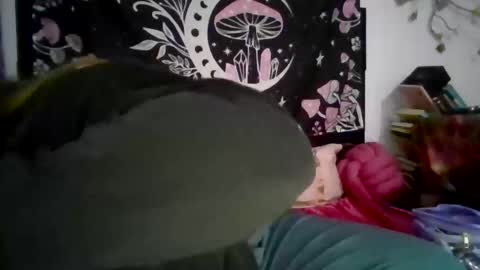 Ariel online show from December 14, 11:42 pm