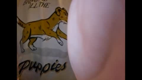 Snapshot of thisisfuckingfun chatting on March 4, 7:19 am ThisIsFuckingFun online show from March 4, 7:19 am