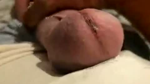 thisloadsforu online show from July 12, 5:04 pm