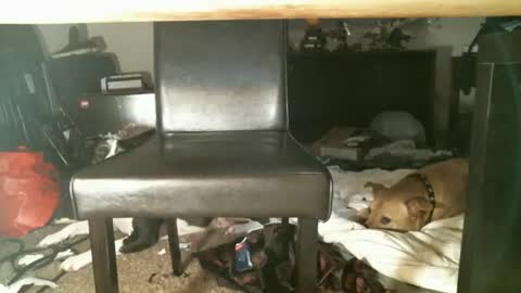 Thumper online show from October 27, 1:15 pm