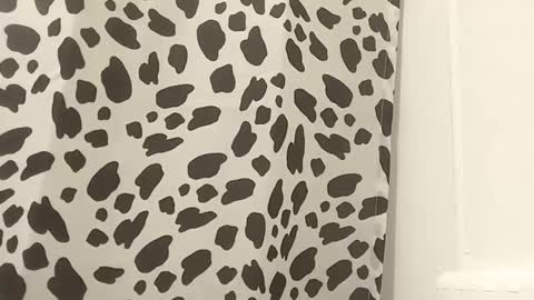 Snapshot of thuzi0n chatting on October 25, 9:17 am thuzi0n online show from October 25, 9:17 am