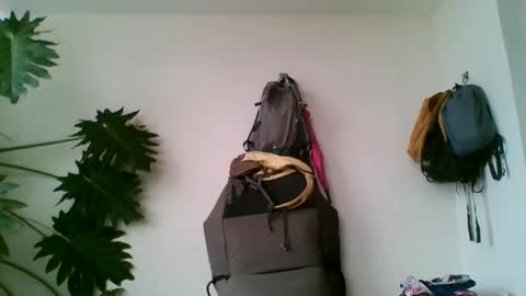 tiaretiareopui online show from October 31, 11:22 am