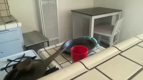 Tierra Henri online show from February 8, 7:39 pm