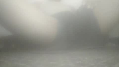 tiger005588 online show from November 21, 9:08 am