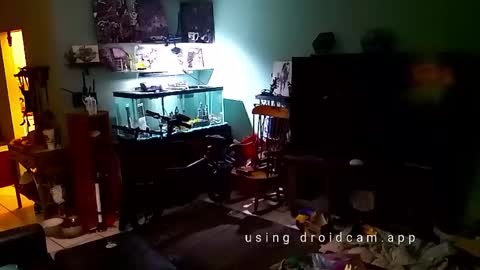 tinalover4u2 online show from November 17, 6:35 pm