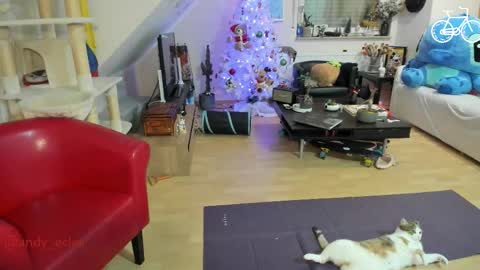 Tiny online show from December 3, 4:31 am