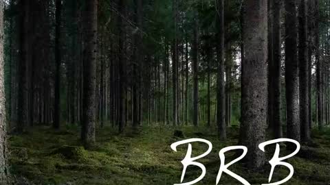 Tim online show from November 2, 7:16 pm