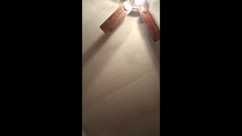 Vols online show from February 3, 12:54 pm