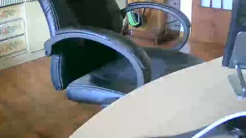 Snapshot of tobikoyuzu chatting on September 30, 11:48 am Tobiko online show from September 30, 11:48 am