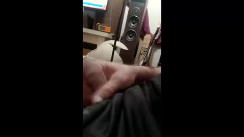 tolinbuilds68 online show from April 6, 8:26 am