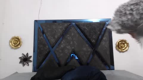 Tom And Jerry 69 online show from October 3, 1:08 pm