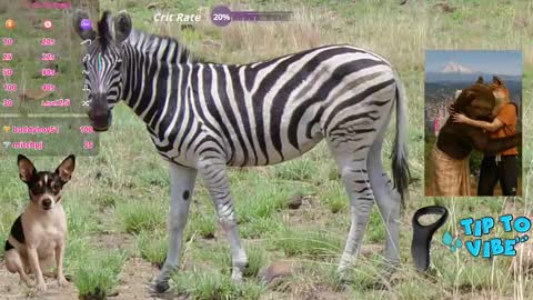 Tomaz62a online show from November 1, 7:38 pm