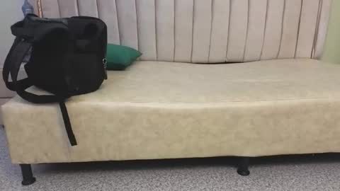 Tomas online show from March 29, 8:03 am