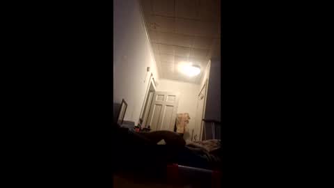 tonetanight online show from February 6, 11:52 pm