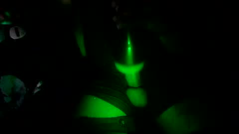 toni256115 online show from April 19, 10:14 am