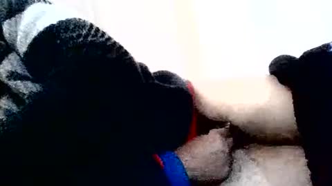 torresurionasantos online show from February 2, 5:22 pm