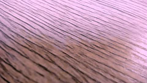 toshi_dakxxx online show from April 2, 1:31 pm