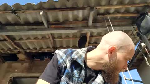 Tralalabala online show from March 3, 11:49 am