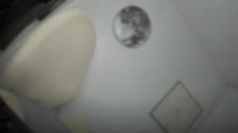 Snapshot of transnextdoor_ chatting on March 26, 5:29 pm ALMIGHTY GODDESS VALENTINA online show from March 26, 5:29 pm