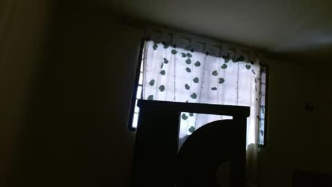 trebol_4 online show from May 21, 2:57 pm